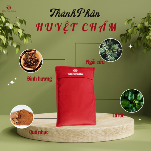 Huyệt Chẩm – Sản Phẩm Độc Quyền Từ Thiên Phúc Đường, Hỗ Trợ Điều Trị Bệnh Hiệu Quả